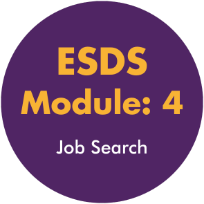 Your Job Search